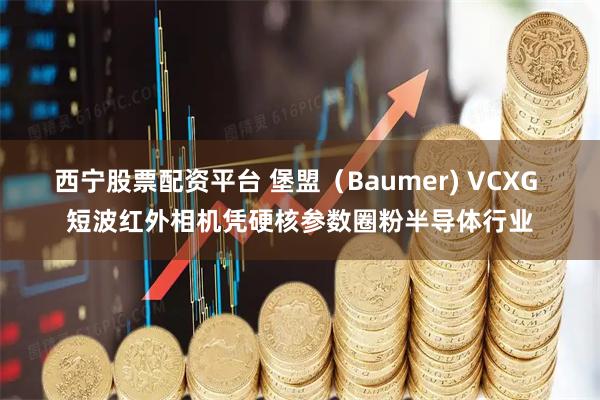 西宁股票配资平台 堡盟（Baumer) VCXG 短波红外相机凭硬核参数圈粉半导体行业